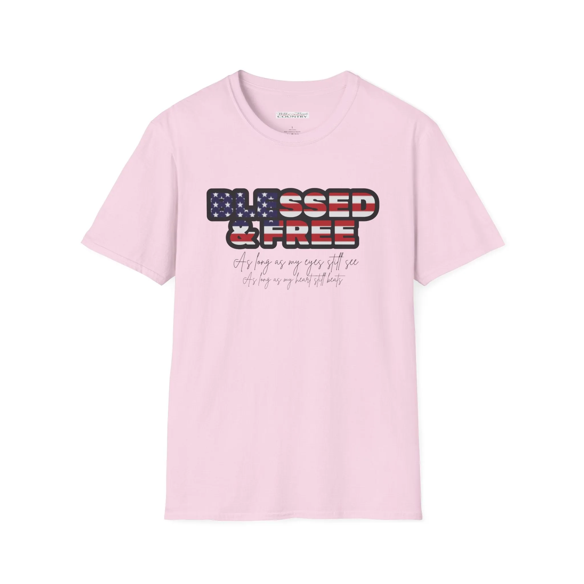 Blessed and Free T-Shirt, Country Music shirt, Western T-shirt, Stars and stripes T-Shirt